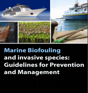 marine biofouling