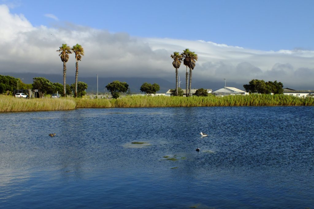 DSCF5647-1024×683