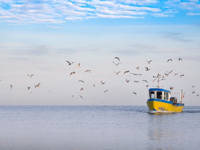 large-marine-ecosystems-feature